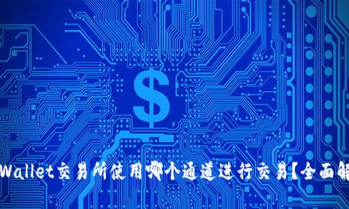 TPWallet交易所使用哪个通道进行交易？全面解析