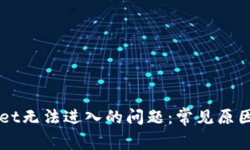 解决TPWallet无法进入的问题：常见原因及解决办法