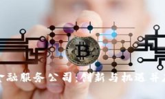 湖南区块链金融服务公司：创新与机遇并存的未