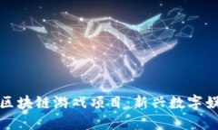 探索韩国区块链游戏项目：新兴数字娱乐的未来