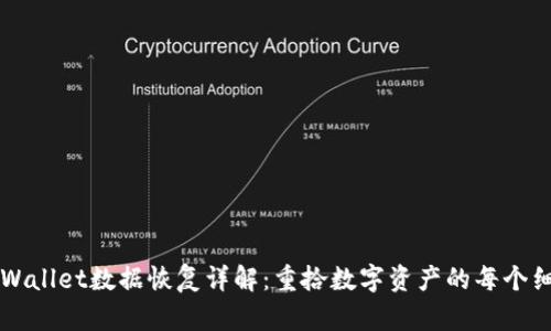 TPWallet数据恢复详解：重拾数字资产的每个细节