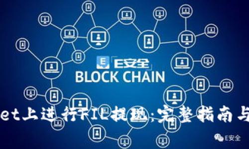 如何在TPWallet上进行FIL提现：完整指南与常见问题解答