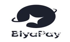 如何在TPWallet中导入观察钱包：详细步骤与技巧